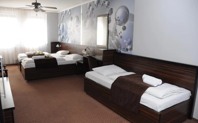 Green Hotel Budapest - photo 3