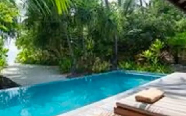 The Residence Maldives at Dhigurah Hotel - photo 4