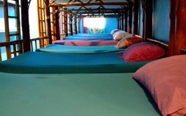 Bamboo Hostel - photo 3