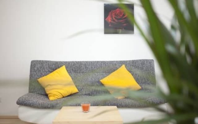 Vienna-apartment-one Wiedner - photo 2