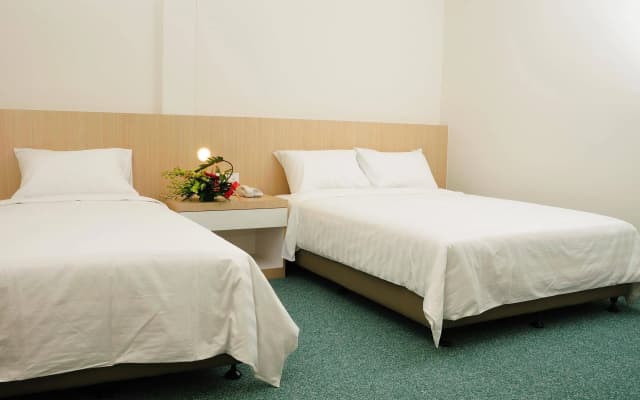 Phoenix Hotel - photo 4