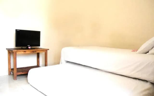 Bali Natural Homestay - photo 5