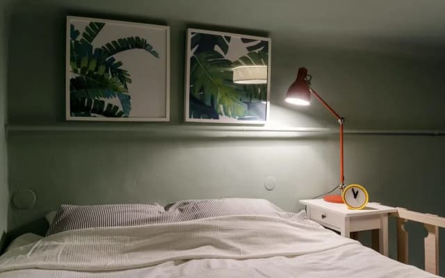 Mango Apartment - photo 5