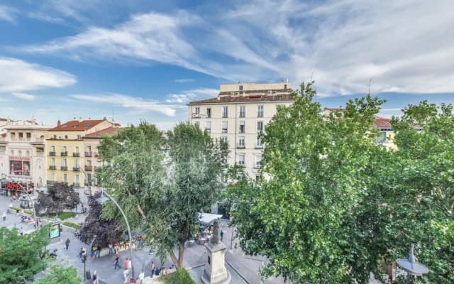 Room to Rent Tirso de Molina - photo 4