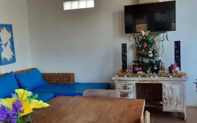 Turtle Island Homestay - photo 2