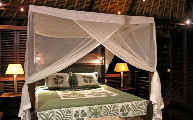 Villa Pantulan Bali Hotel - photo 3