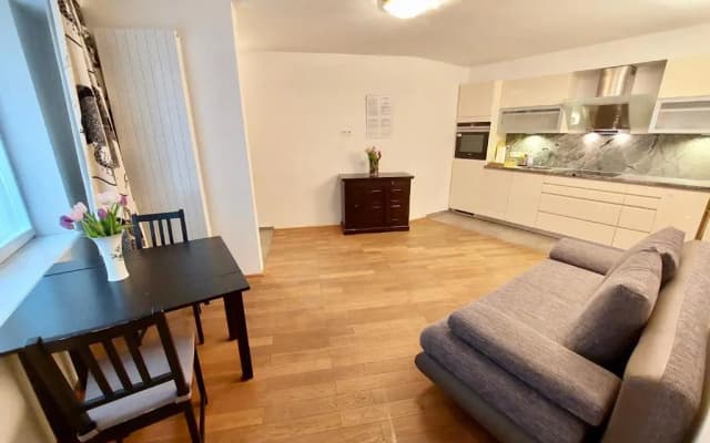 Vienna Studio Apartments - photo 4