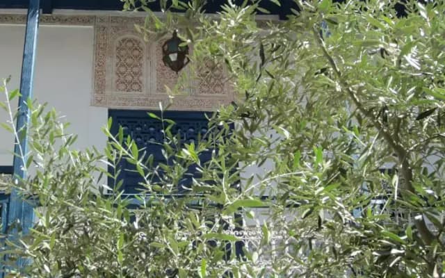 Riad Acv - photo 4