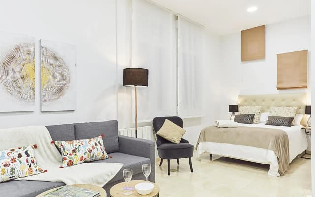 LEEWAYS APARTMENT IX in GRAN VÍA - photo 3