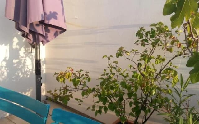 Les Terrasses Du Panthon - photo 4