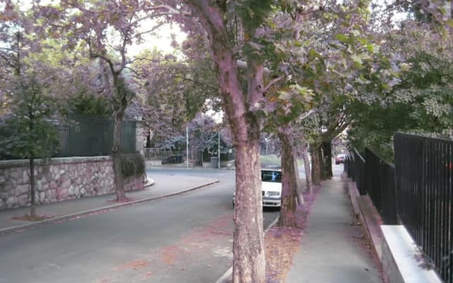 Platán apartman - photo 3