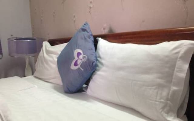 Thanh Thu Hotel - photo 3