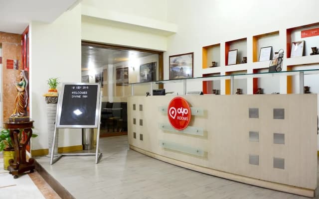Hotel Divine Inn - photo 2