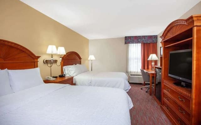Orlando Palms Hotel - photo 3