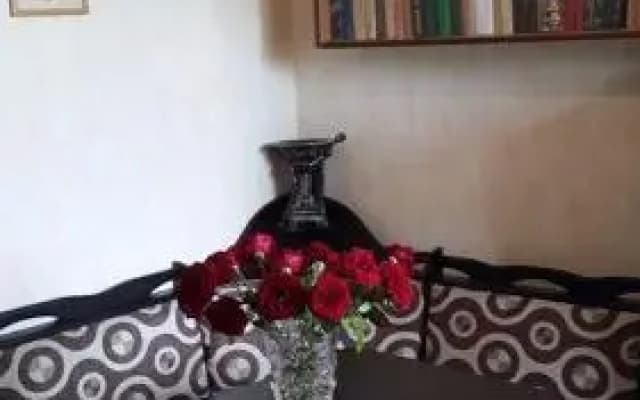 Natalies Guest House - photo 2
