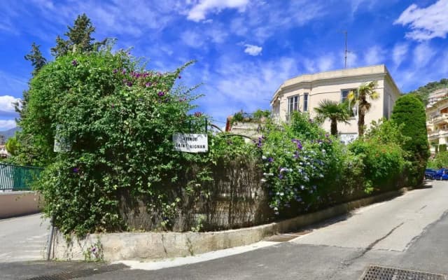 Residence les Lauriers - photo 3