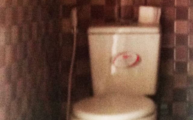 The Birdhouse - photo 3