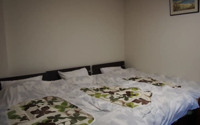 Guest house Maika - photo 2
