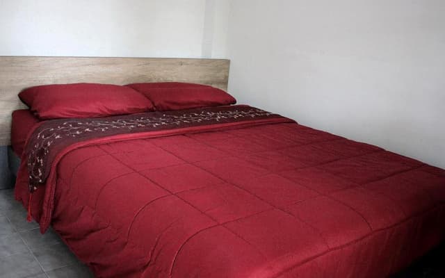 Garden Room Hostel - photo 2