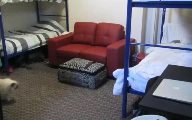 Manly Bunkhouse - Hostel - photo 4