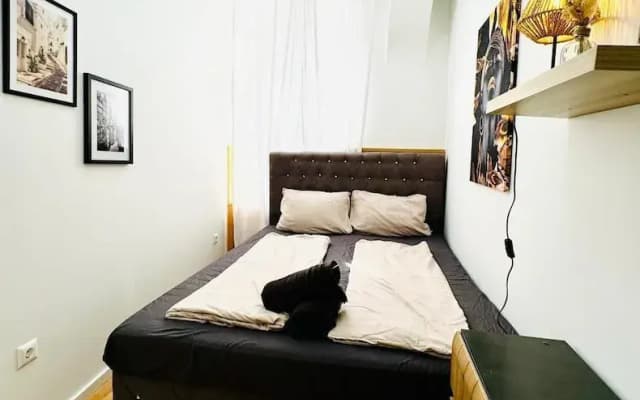 10BR Apt for Groups 8Min to Rathausplatz - photo 5