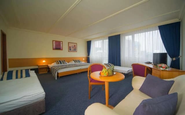 TOP HOTEL Praha & Conference Centre - photo 5