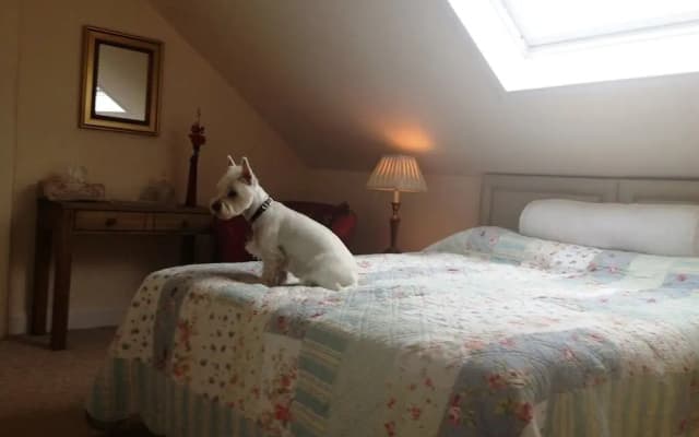 Glendevon Central Bed and Breakfast - photo 5