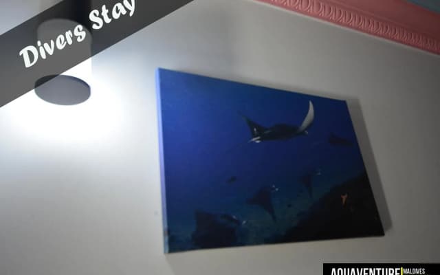 Aquaventure Manta Lodge - Scuba Divers - photo 2