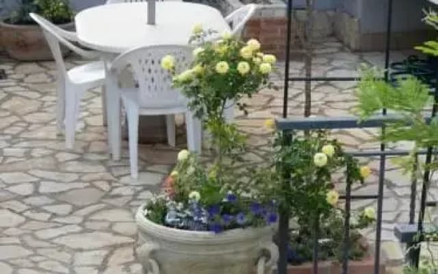 Bluindaco - photo 4