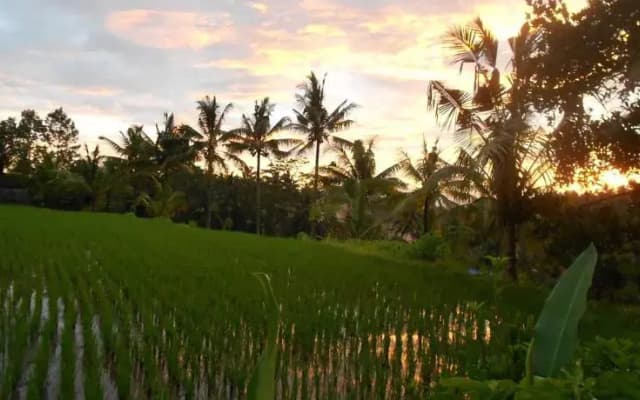 Villa Jasmine B&B - photo 3
