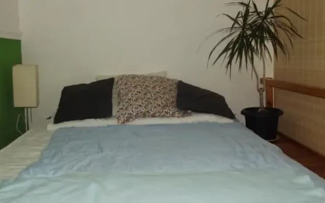 Cozy Flat - photo 4