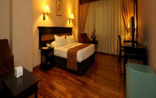 Hotel Maharani - photo 5