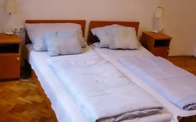 Fehér Páva Hotel - photo 4