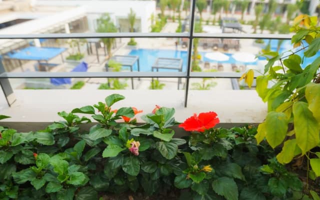 Ruby Hotel - photo 4