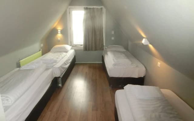 Orange Tulip Hotel Amsterdam - Hostel - photo 3