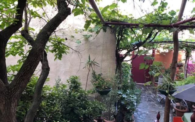 The house of the botanist - photo 5