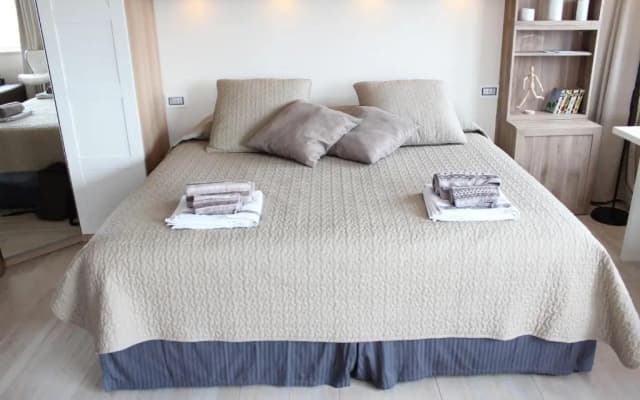 Panoramic Luxury Little Penthouse - photo 3