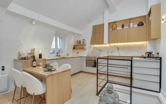 Amazing Historical Parisien Loft Next TO Louvre Area ! - 4 - photo 5