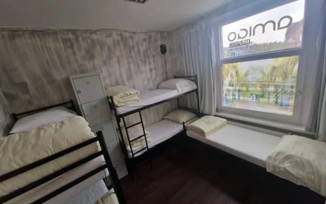Amigo Budget Hotel - photo 4