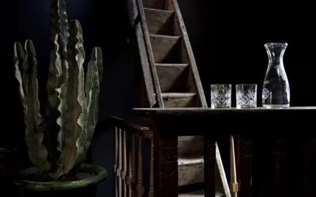 the Mayer Manor - photo 2