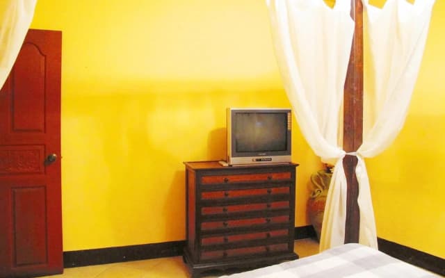 Nicky's Guesthouse - photo 3