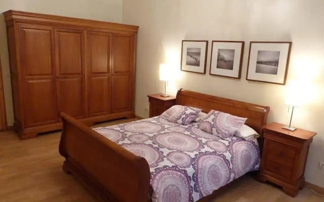 Ramblas Apartments - photo 3