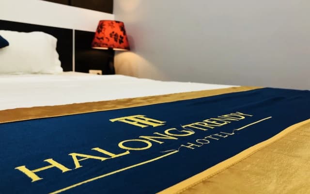 Ha Long Trendy Hotel - photo 3