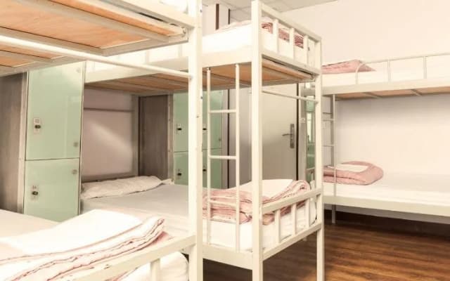 Cat's Hostel - photo 4