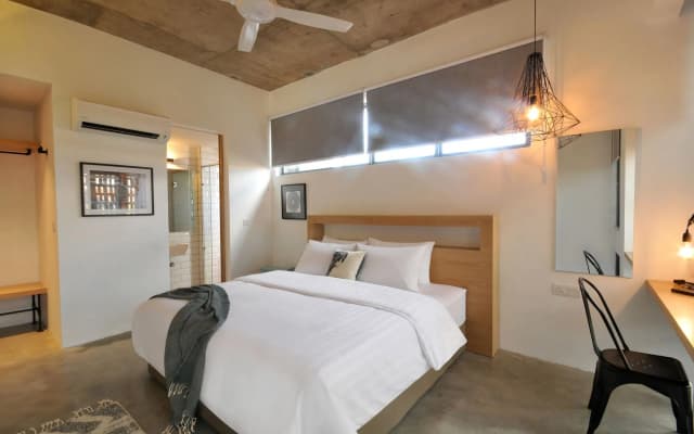 The Nest House - photo 5