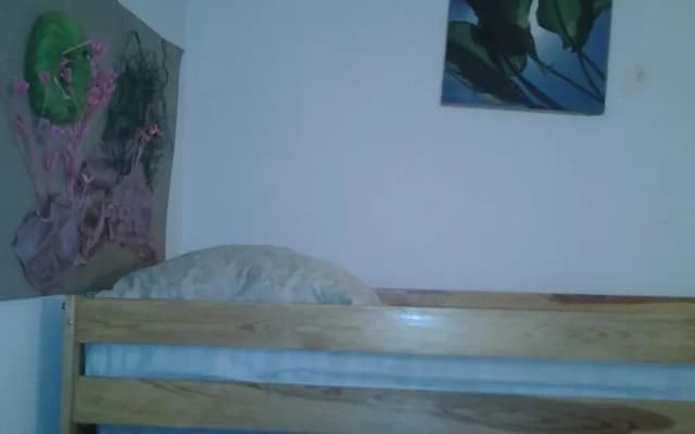 Amber Guesthouse - photo 4