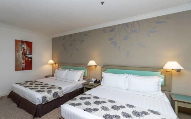 Regalodge Hotel & Spa - photo 5