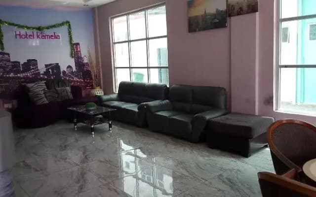 Hotel Kamelia - photo 2