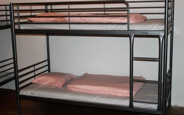 Black Dog Hostel - photo 5