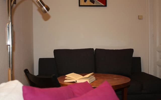 GoVienna Homelike City Apartment - photo 5